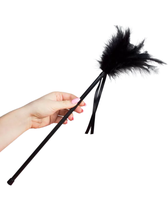 SECRETPLAY - PLUMES NOIRES 40 CM SECRETPLAY - PLUMES NOIRES 40 CM