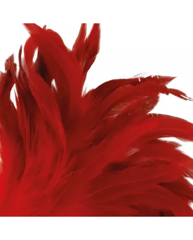 DARKNESS - STYLO STIMULANT ROUGE 24CM