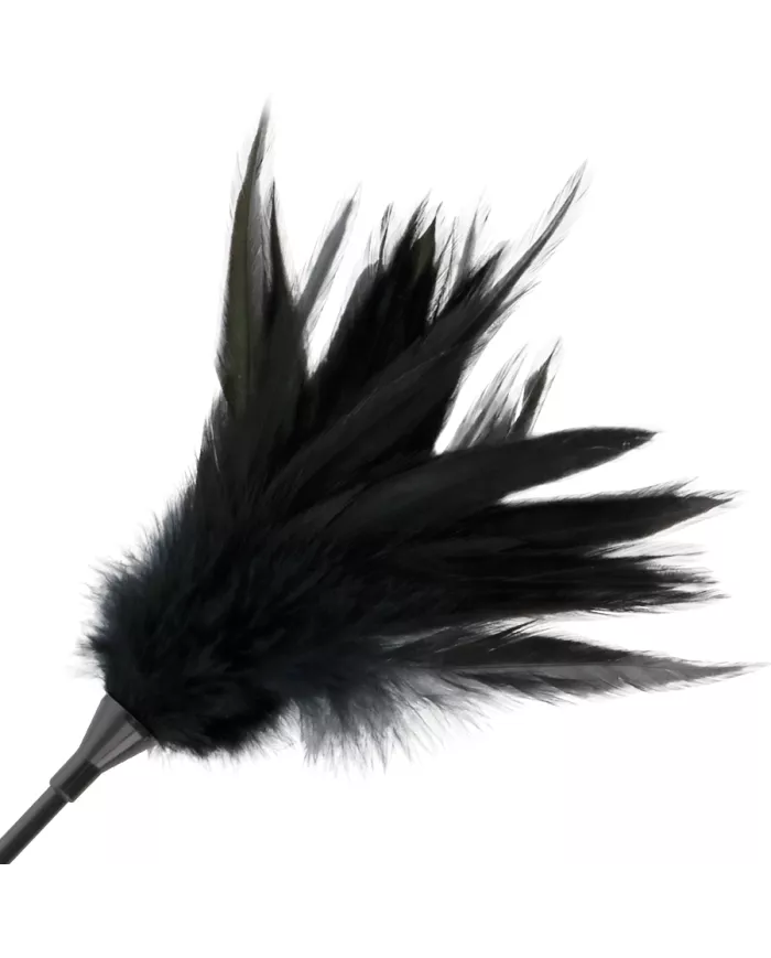 DARKNESS - FOUET À PLUMES NOIRES