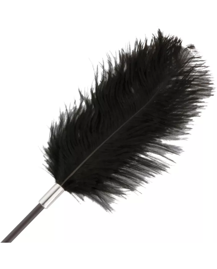 DARKNESS - FOUET PLUME DAMOUR NOIR 56 CM