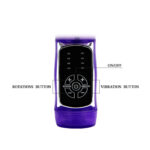 BAILE - US LAPIN PAPILLON PRINCE – Image 8