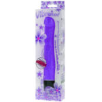 BAILE - VIBRATEUR DE MULTIVITESSES 21.5 CM VIOLET – Image 2