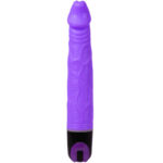 BAILE - VIBRATEUR DE MULTIVITESSES 21.5 CM VIOLET