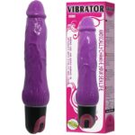 BAILE - VIBRATEUR MULTIVITESSES DAAPLY PLEASURE VIOLET – Image 3