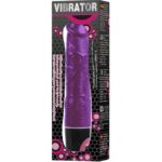 BAILE - VIBRATEUR MULTIVITESSES LILAS – Image 2