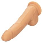 CALEXOTICS - CLOUS EN SILICONE 20.32 CM PEAU – Image 6