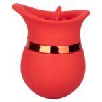 CALEXOTICS - FRENCH KISS SWEET TALKER – Image 9