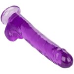 CALEXOTICS - GODE REINE TAILLE VIOLET 25.5 CM – Image 3