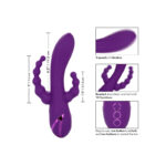 CALEXOTICS - LONG BEACH BOOTYLICIOUS VIOLET – Image 7