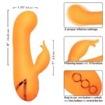 CALEXOTICS - MONTECITO MUSE VIBRATEUR LAPIN ORANGE PAR CALIFORNIA DREAMING – Image 7