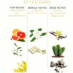 EYE OF LOVE - PARFUM AUX PHÉROMONES EOL 10 ML - AFTER DARK – Image 3