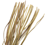 FETISH SUBMISSIVE ORIGIN - FOUET EN CUIR VEGAN – Image 4