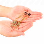 KINK - PINCES À METELIERS PENDENTIF COBRA 6 CM – Image 3