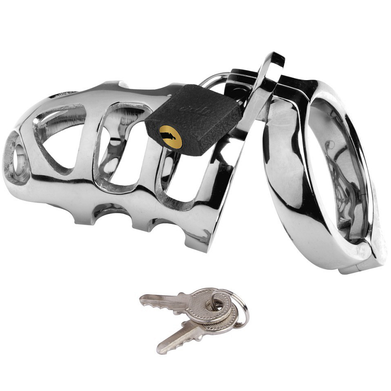 METAL HARD - CAGE ANNEAU CAGE EN MÉTAL METAL HARD - CAGE ANNEAU CAGE EN MÉTAL – Image 1