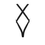 PASSION - 040 BODY LEON NOIR L/XL – Image 6