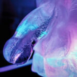 PLAY WIV ME - HUGE PENIS ICE LUGE MOULE – Image 6