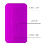 PRETTY LOVE - STIMULATEUR UNISEXE DREAM LOVERS WHIP 2 – Image 6