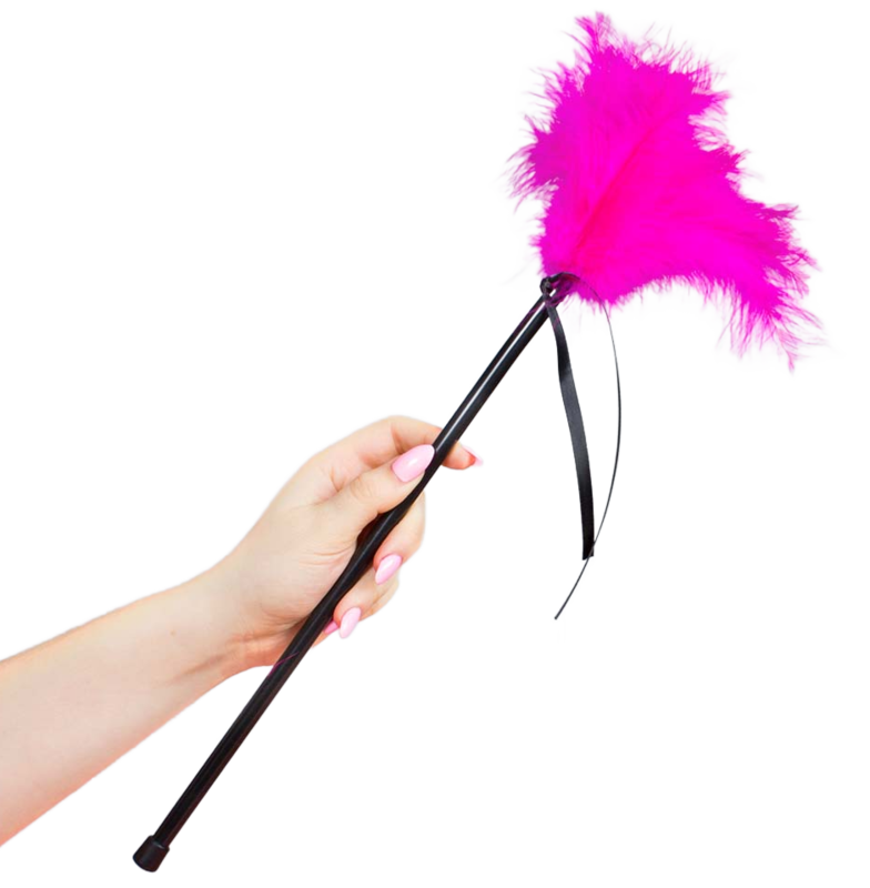 SECRETPLAY - PLUMES ROSE 40 CM SECRETPLAY - PLUMES ROSE 40 CM – Image 1