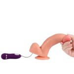 SHEQU - ADAM VIBRATEUR DILDO AVEC TÉLÉCOMMANDE 21 CM – Image 5